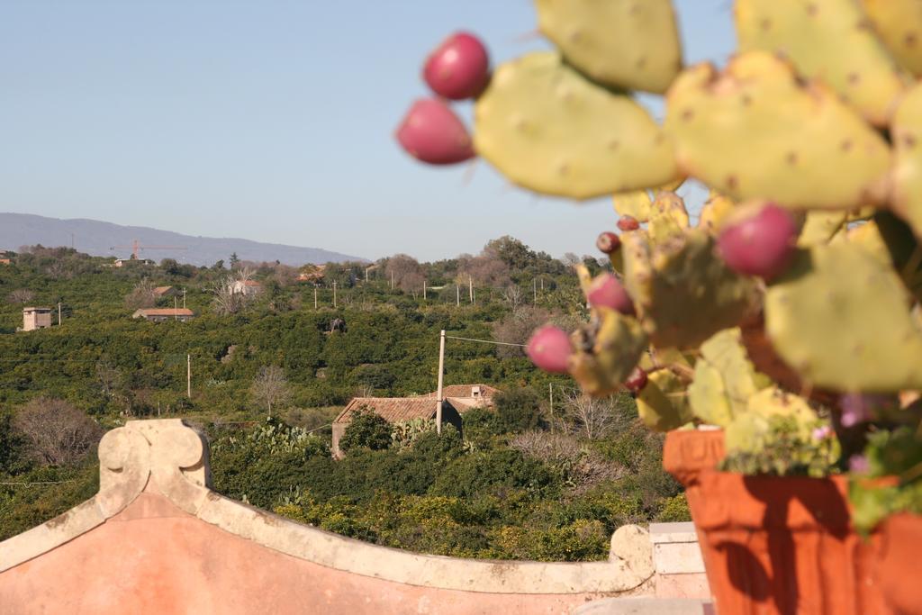 סנטה טקלה Villa Dei Leoni מראה חיצוני תמונה