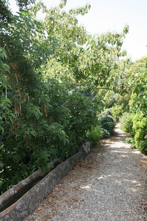סנטה טקלה Villa Dei Leoni מראה חיצוני תמונה